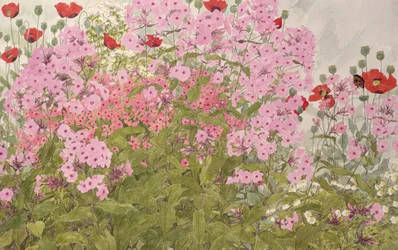Pink Phlox and Poppies with a Butterfly